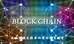 区块链填充技术的前沿项
