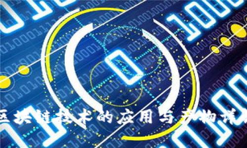 区块链技术的应用与产物详解