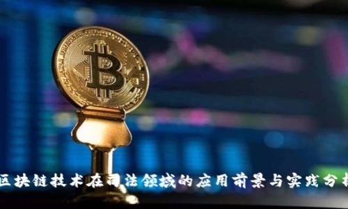 区块链技术在司法领域的应用前景与实践分析