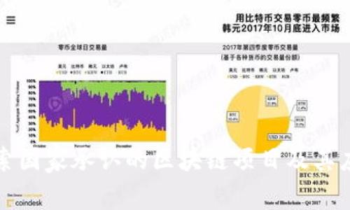 探索国家承认的区块链项目及其应用