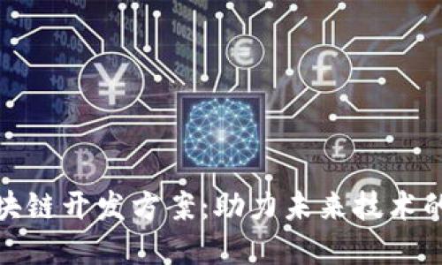深入探讨区块链开发方案：助力未来技术的选择与实施
