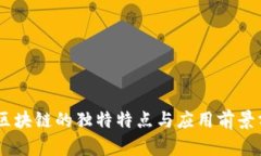 51区块链的独特特点与应用